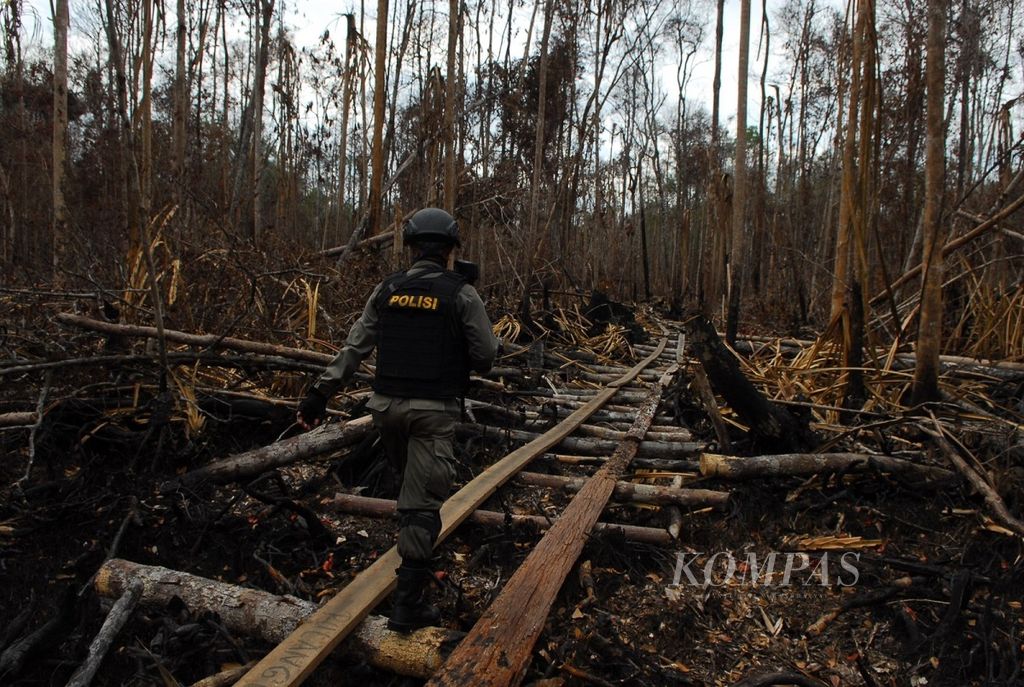 Illegal processed wood in the state forest area in Muaro Jambi Regency is transported by illegal loggers.