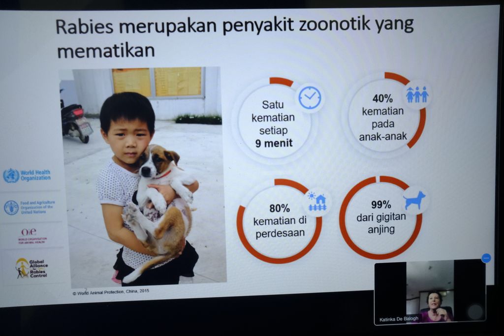 Paparan tentang penularan rabies dalam webinar Vaksin Rabies Oral: Inovasi dalam Pemberantasan Rabies, Sabtu (3/10/2020), di Jakarta.