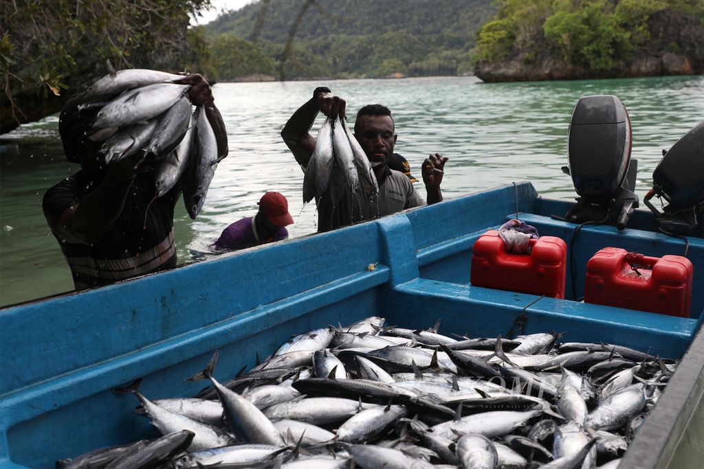 Nelayan dari Desa Namatota, Distrik Kaimana, Kabupaten Kaimana, Papua Barat, memasukkan ikan yang telah ditangkap ke dalam perahu di perairan laut di sekitar desa mereka, Senin (14/6/2021). 
