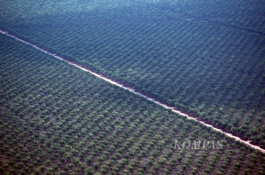 Foto udara perkebunan sawit muda yang diselimuti polusi kabut asap akibat kebakaran hutan dan lahan di sekitar Kabupaten Ogan Komering Ilir, Sumatera Selatan, Kamis (2/11/2023). 