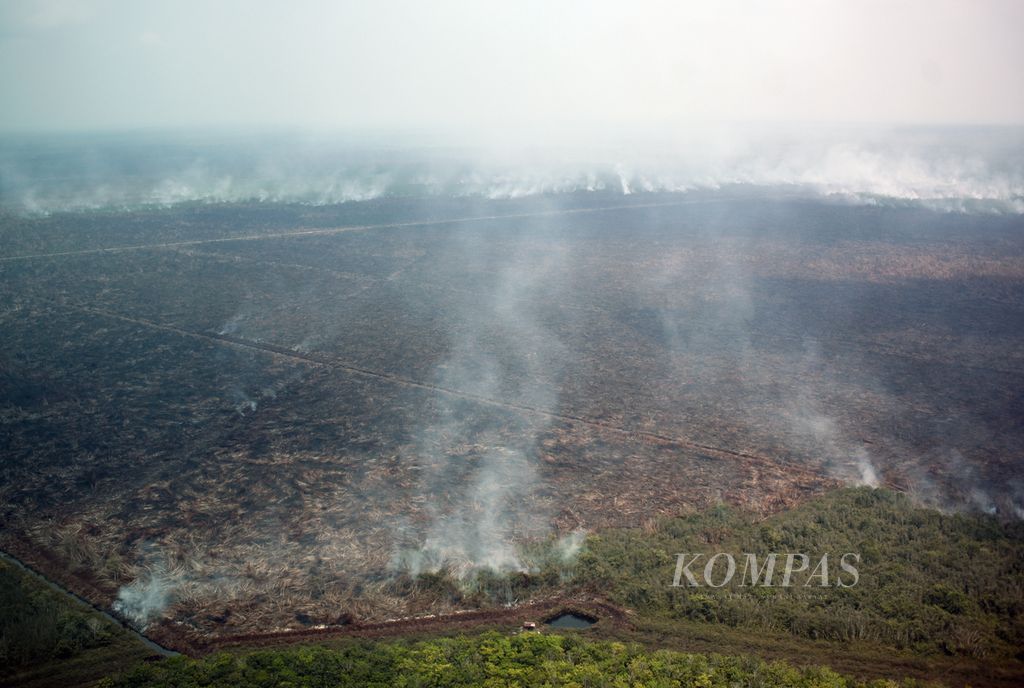 Polusi kabut asap akibat kebakaran hutan dan lahan di Palembang, Sumatera Selatan, Kamis (2/11/2023).