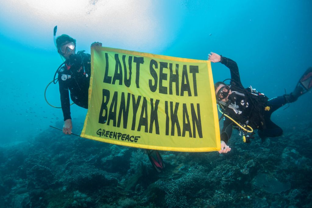 Aktivis Greenpeace membentangkan spanduk saat menyelam di perairan Raja Ampat, saat Rainbow Warrior buang jangkar di wilayah Papua Barat. Greenpeace mendesak perlindungan terumbu karang dan laut oleh Pemerintah Indonesia.