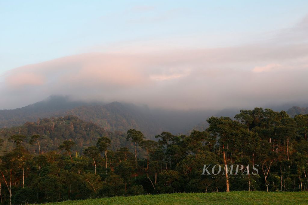 Kawasan hutan lebat dengan latar belakang kawasan pegunungan Muria tampak dari Puncak Bubaan perkebunan Agrowisata Kebun Jolong di Desa Sitiluhur, Kecamatan Gembong, Kabupaten Pati, Jawa Tengah, Sabtu (10/6/2023). 