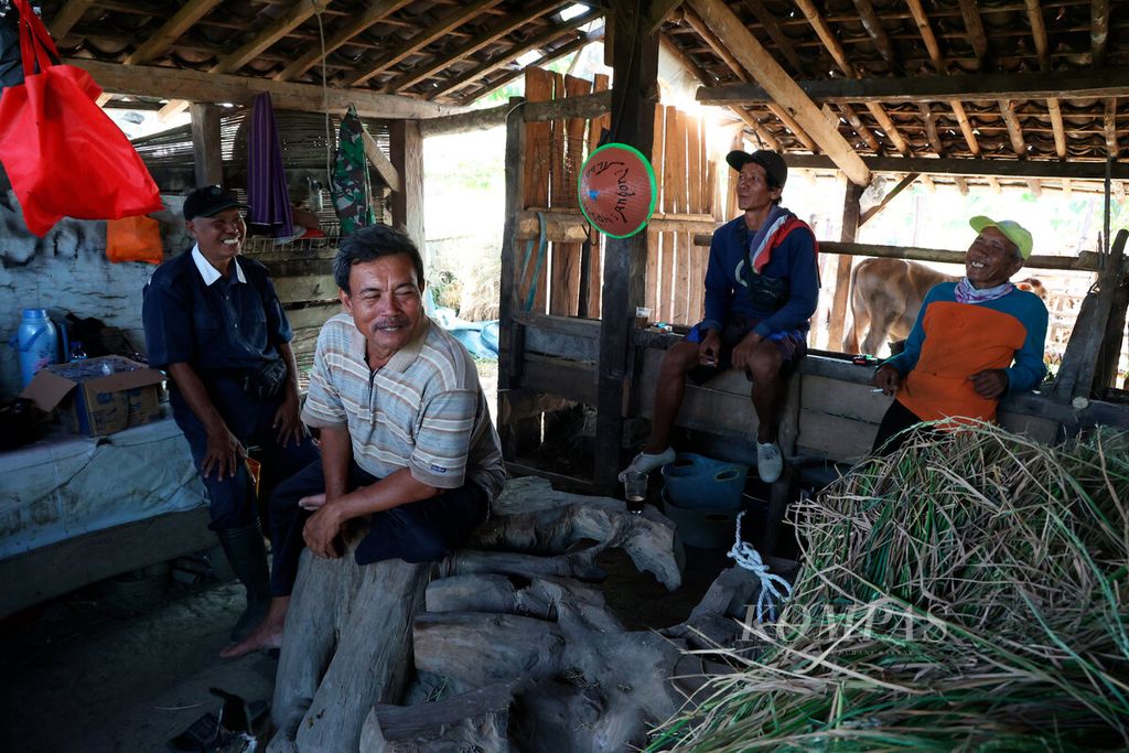 Tardi (kedua kiri) bersama rekan-rekannya yang merupakan peternak sapi jabres di Desa Kabandungan, Kecamatan Bantarkawung, Kabupaten Brebes, Jawa Tengah, Rabu (31/5/2023).