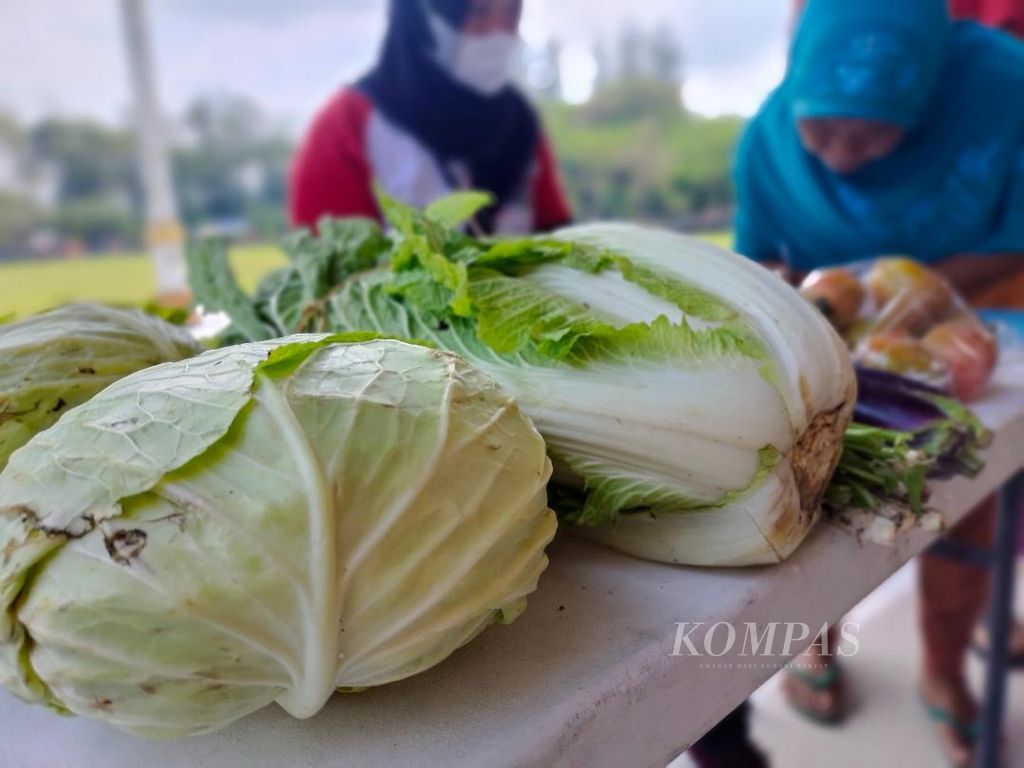 Sebagian sayuran yang mengalami penurunan harga dan kemudian dibagikan secara gratis kepada warga yang membutuhkan di Kabupaten Magelang, Senin (10/10/2022).