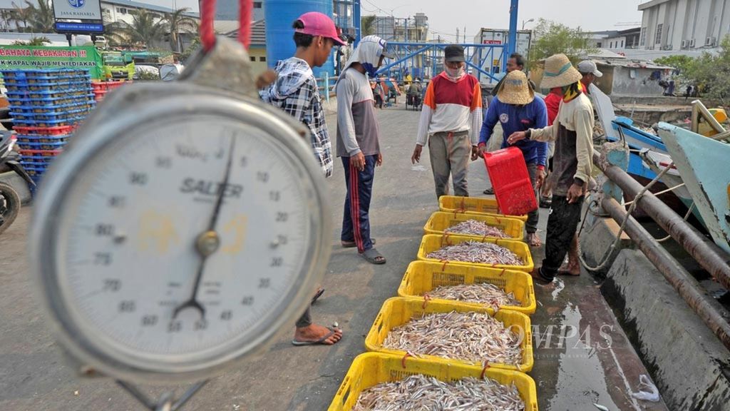 Pekerja memindahkan muatan ikan dari kapal nelayan untuk ditimbang di Pelabuhan Perikanan Muara Angke, Jakarta, Kamis (18/10/2018). Penataan penangkapan ikan dan pengaturan pengolahan industri perikanan yang akan menjaga pertumbuhan potensi perikanan nasional.