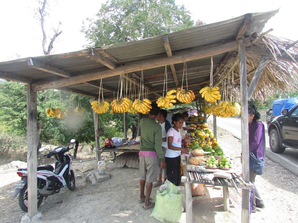 Warga perbatasan RI-Timor Leste menjual hasil pertanian di sisi jalan antara Motaain-Wini, Sabtu (9/7/2022). Sebagian besar jualan mereka berupa buah-buahan. Pisang, misalnya, dihargai Rp 25.000 per sisir.