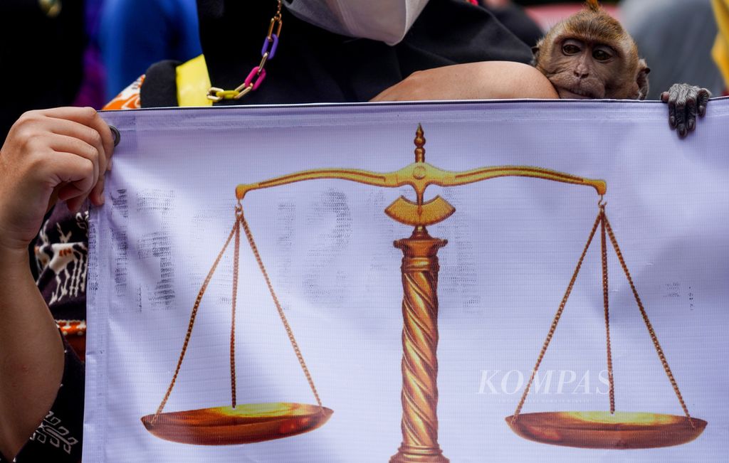 Seekor monyet yang dibawa keluarga korban praktik mafia tanah dan aktivis dari Lembaga Konsultasi dan Bantuan Hukum Mahasiswa Islam (LKBHMI) menggelar aksi di depan Mahkamah Agung, Jakarta, Selasa (25/10/2022). 