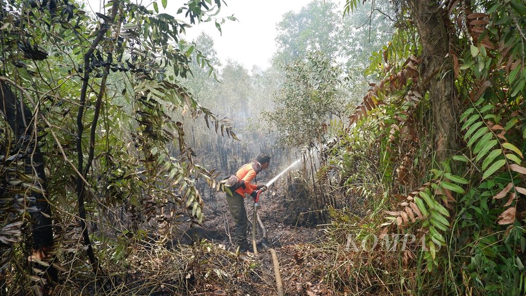 Petugas berupaya memadamkan api di lahan gambut yang terbakar di Kecamatan Gambut, Kabupaten Banjar, Kalimantan Selatan, Selasa (15/10/2019). 