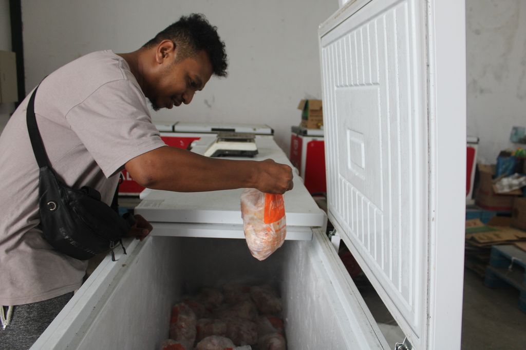Daging ayam beku di gudang penyimpanan barang-barang yang diangkut menggunakan kapal tol laut di Lewoleba, Kabupaten Lembata, Nusa Tenggara Timur, pada Jumat (19/1/2024). 