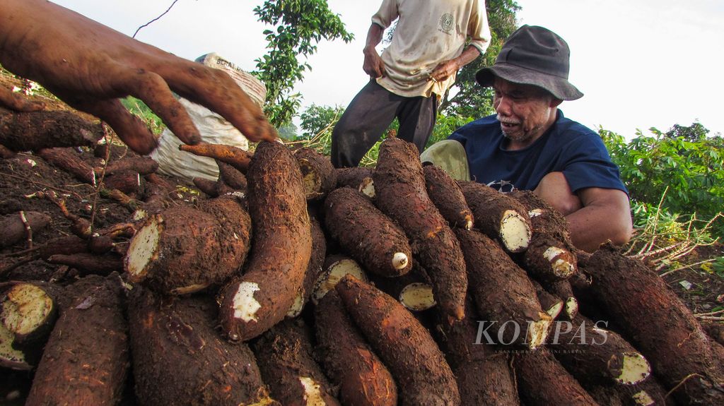 https://cdn-assetd.kompas.id/cXxieMg_KX_9JXYomd2Ai4WxQlQ=/1024x575/filters:watermark(https://cdn-content.kompas.id/umum/kompas_main_logo.png,-16p,-13p,0)/https%3A%2F%2Fkompas.id%2Fwp-content%2Fuploads%2F2020%2F05%2F8ace4516-318e-44f6-b16d-51abec292a75_jpg.jpg