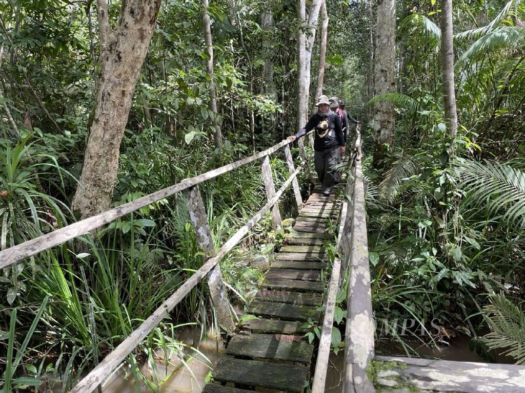 Suasana salah satu sudut Hutan Lindung Sungai Wain, Kota Balikpapan, Kalimantan Timur, Sabtu (4/2/2023).