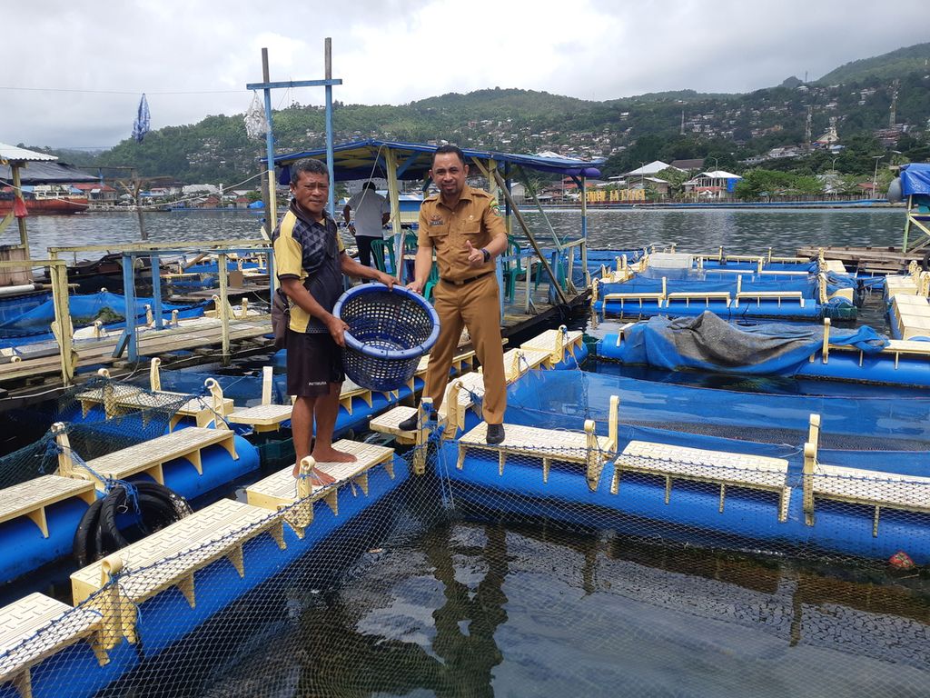 Usaha keramba jaring apung di Kota Ambon, Maluku, pada Senin (19/6/2023). Ikan yang dibudidayakan adalah kerapu, kuwe, dan kakap putih.