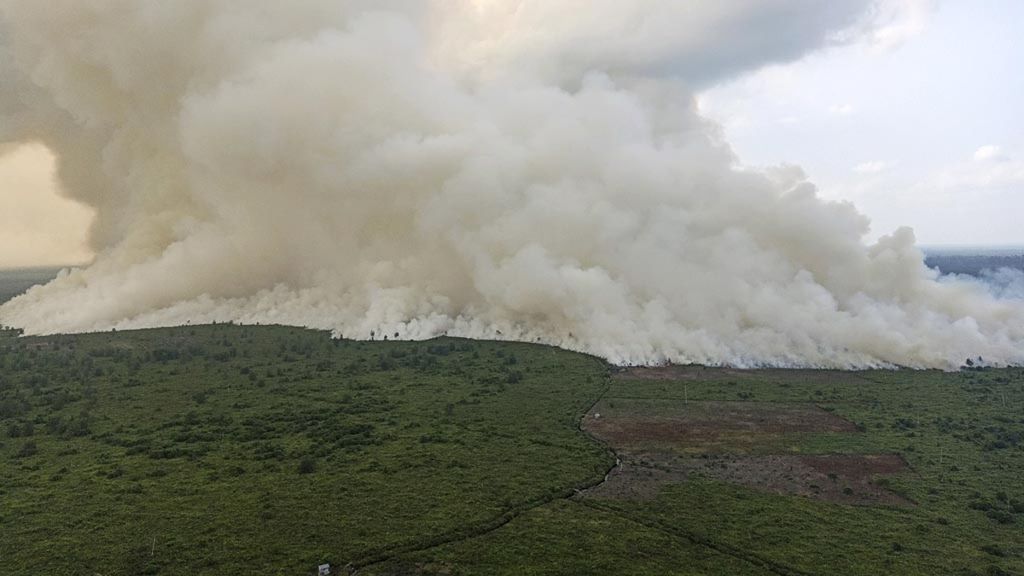 Asap membubung tinggi dari lahan yang terbakar di Muara Medak, Bayung Lincir, Musi Banyuasin (Muba), Sumatera Selatan, Rabu (14/8/2019). 