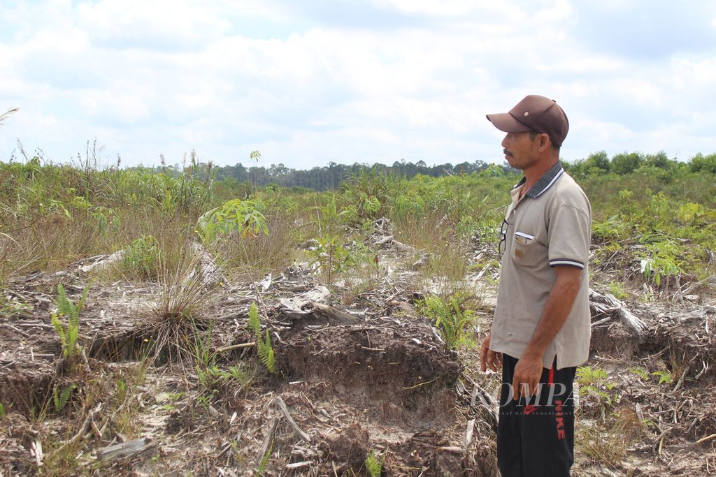 Rangkap (53), warga Tewai Baru, Kabupaten Gunung Mas, Kalimantan Tengah, melihat bekas ladangnya yang dulu ia tanami sayuran kini menjadi kebun singkong tak terurus, Selasa (8/8/2023).