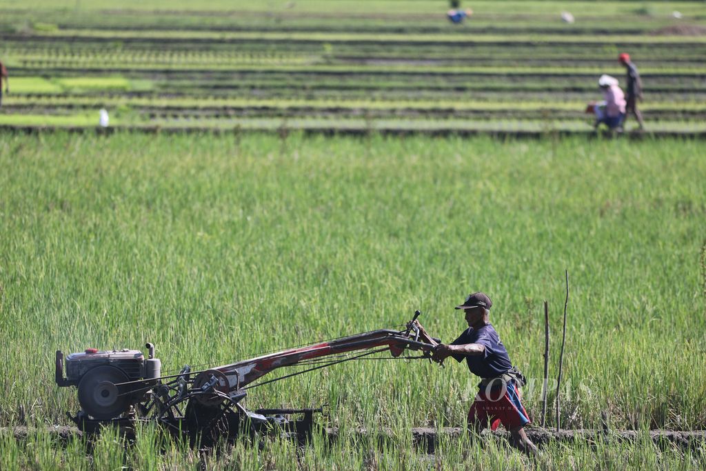 Buruh tani membajak sawah dengan menggunakan traktor di Desa Trirenggo, Kecamatan Bantul, Kabupaten Bantul, DI Yogyakarta, Senin (26/2/2024). Sebagian besar petani di kawasan itu baru memulai masa tanam pada akhir Februari. 