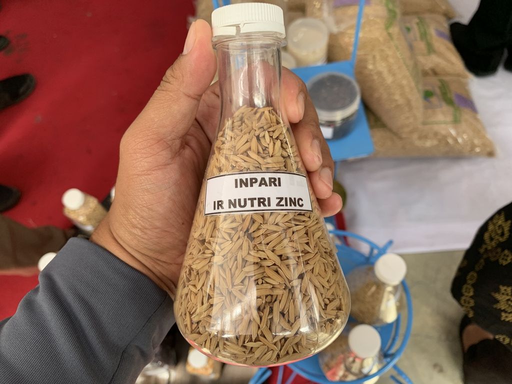 Benih padi Inpari IR Nutri Zinc dipamerkan dalam kegiatan Penanaman 1000 Pohon di Showroon Benih, Balai Benih Induk Pertanian, Narmada, Lombok Barat, Nusa Tenggara Barat, Rabu (1/2/2023).