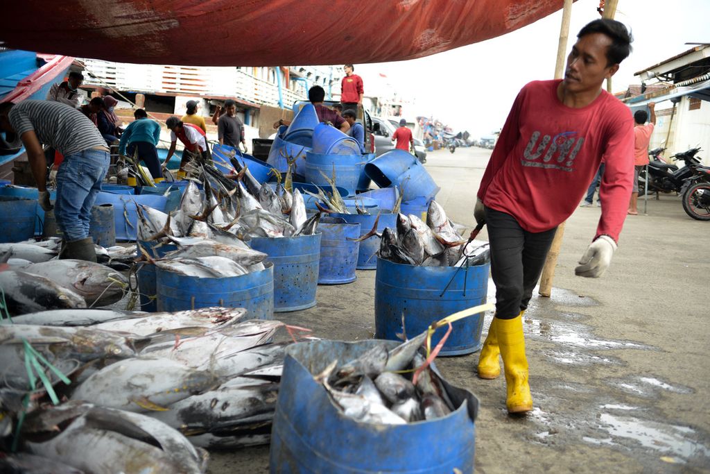 Pekerja membawa ikan untuk ditimbang di Pelabuhan Perikanan Samudera Nizam Zachman, Jakarta Utara, Rabu (28/12/2022). Kementerian Kelautan dan Perikanan memproyeksikan nilai ekspor perikanan pada tahun 2022 sekitar 6 miliar dollar AS atau Rp 93,6 triliun. 