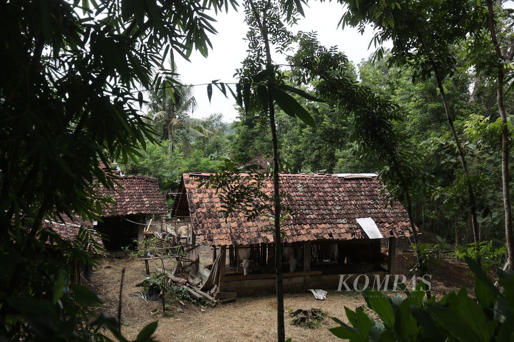 Rumah warga yang dibangun berimpitan dengan kandang ternak di Dusun Kayoman, Desa Serut, Kecamatan Gedangsari, Kabupaten Gunungkidul, Daerah Istimewa Yogyakarta, Jumat (15/3/2024). 