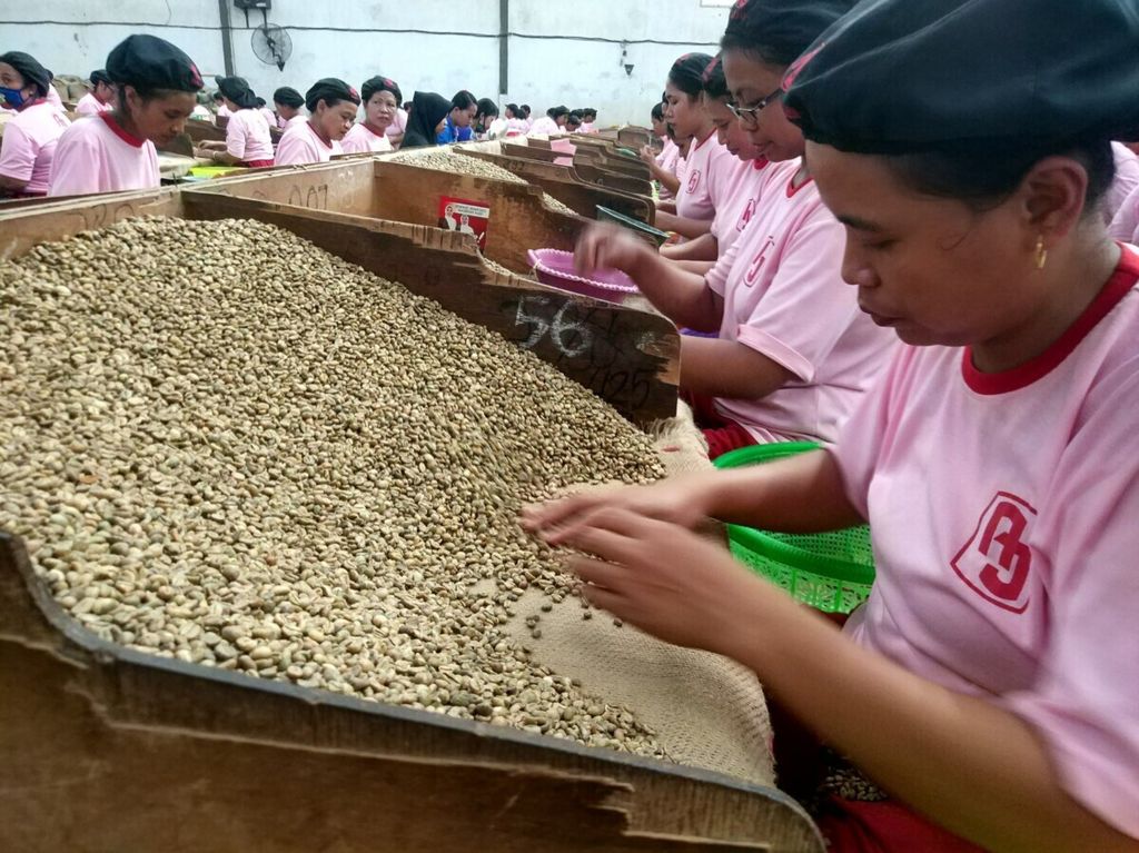 Karyawan salah satu perusahaan kopi di Kabupaten Malang, Jawa Timur, tengah memilah biji kopi. Malang merupakan salah satu daerah penghasil kopi di Jawa Timur.