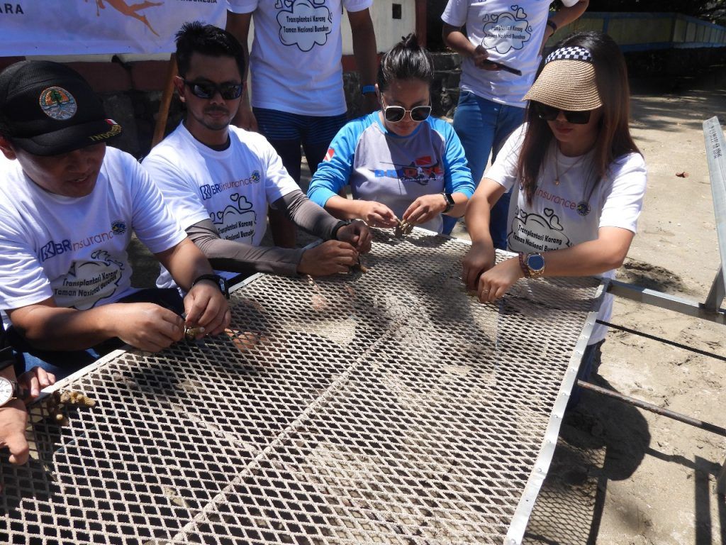 Pegawai Taman Nasional Bunaken dan BRI Insurance melaksanakan transplantasi terumbu karang di Pulau Bunaken, Manado, Sulawesi Utara, Kamis (24/8/2023)