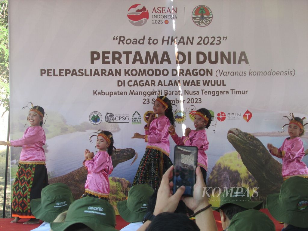 Siswa dari SDN Menjaga Desa Macang Tangkar, Kecamatan Komodo, membawakan tarian "lestari lingkungan" saat pelepasliaran enam ekor komodo, Sabtu (23/9/2023).