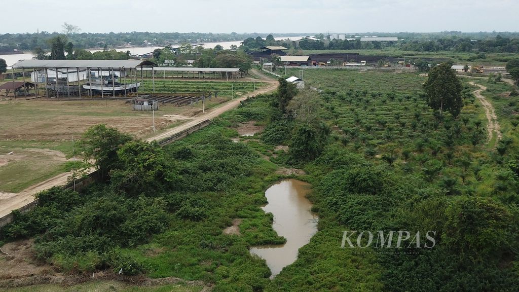 Kondisi lubuk larangan di Desa Tebat Patah, Taman Rajo, Muaro Jambi, Jambi, yang akan menjadi tempat pelaksanaan tradisi Bekarang atau panen ikan, Kamis (15/8/2024). Desa Tebat Patah adalah satu dari delapan desa penyangga KCBN Muarajambi.