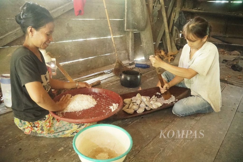 Warga menumbuk umbi keladi rebus dan menyiapkan kelapa parut untuk membuat subbet, makanan karbohidrat masyarakat suku Mentawai, yang akan dihidangkan dalam ritual pemberkatan bayi di pedalaman Pulau Siberut di Dusun Salappa, Desa Muntei, Kecamatan Siberut Selatan, Kepulauan Mentawai, Sumatera Barat, Selasa (26/9/2023).