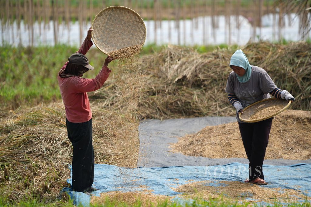 Petani mengayak padi varietas Inpari 32 di Desa Cibuntu, Kecamatan Pasawahan, Kabupaten Kuningan, Jawa Barat, Kamis (2/5/2024). Badan Pusat Statistik mencatat, pertumbuhan sektor pertanian tanaman pangan pada triwulan I-2024 terkontraksi atau -24.75 persen secara tahunan.