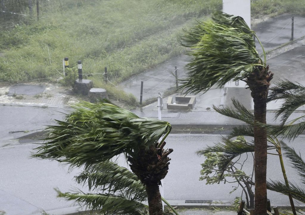 Angin yang bertiup kencang tampak dari tajuk pohon palem yang diterpanya. Angin kencang itu merupakan bagian dari topan Khanun yang mengempas Naha, Okinawa, Jepang pada Sabtu (5/8/2023) lalu. 