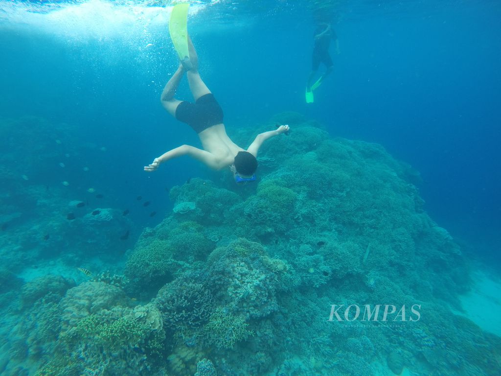 Seorang wisatawan menyelam di perairan dangkal Bunaken, Manado, Sulawesi Utara, Senin (14/2/2022).
