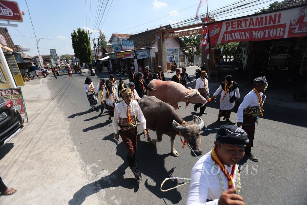 Abdi dalem menggiring kerbau milik Keraton Surakarta dari Alun-alun Pengging menuju Pasar Pengging Baru di Desa Dukuh, Banyudono, Boyolali, Jawa Tengah, Senin (5/8/2024). 