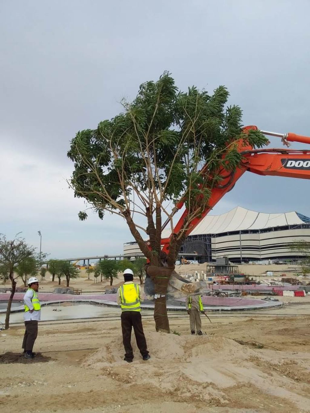 Salah satu proses penanaman pohon di tengah pembangunan proyek Stadion Al Bayt, kota Al Khor. Penanaman pohon itu mulai dilakukan pada 2019.