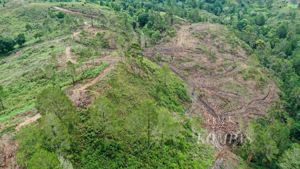 Foto udara kerusakan hutan di bagian hulu di Desa Simangulampe, Kecamatan Baktiraja, Kabupaten Humbang Hasundutan, Sumatera Utara, Rabu (6/12/2023). Pembalakan liar menyebabkan banjir bandang di Desa Simangulampe.