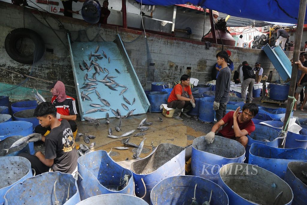 Buruh membongkar ikan hasil tangkapan dari kawasan perairan di Sulawesi, di Pelabuhan Perikanan Samudera Nizam Zachman Muara Baru, Jakarta, Rabu (3/5/2023). Kementerian Kelautan dan Perikanan (KKP) menargetkan ekspor hasil perikanan Indonesia tahun 2023 mencapai USD 7,66 miliar. Salah satu cara untuk mencapai target tersebut, KKP bakal memperkuat pasar ekspor perikanan di Uni Eropa.