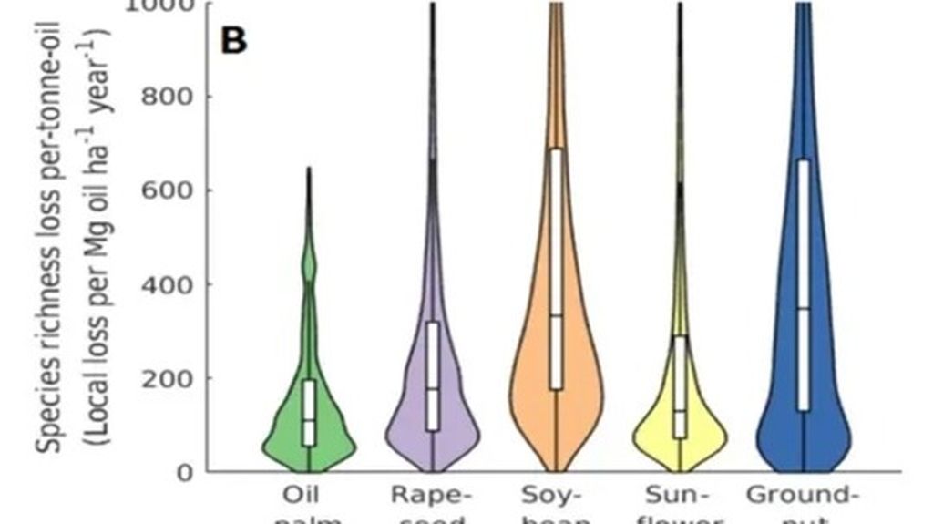 Data komparasi <i>biodiversity loss </i>pada produksi minyak sawit ketimbang minyak nabati lain dalam kajian yang dilakukan oleh Beyer dan kawan-kawan (2020) serta Beyer dan Tim Rademacher (2021).
