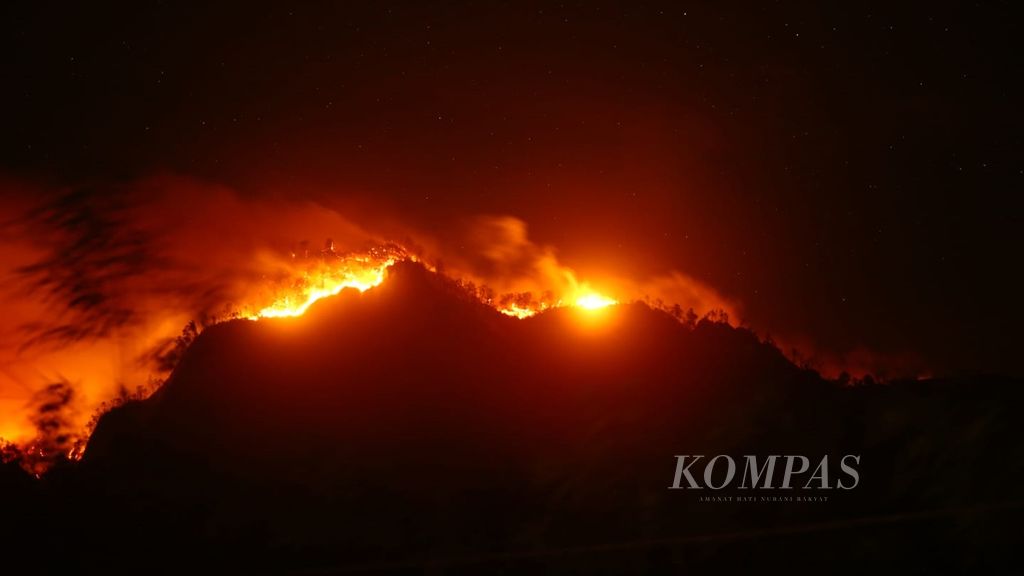 Api membakar hutan di Gunung Ranti yang terletak di sebelah selatan Gunung Ijen, Banyuwangi, Jawa Timur, sejak Sabtu hingga Senin (19-21/10/2019).
