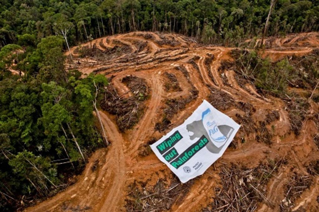 Aktivis organisasi lingkungan hidup Greenpeace membentangkan spanduk bertuliskan Head & Shoulders Menyapu Habis Hutan Tropis di lahan konsesi PT Multi Persada Gatramegah, milik Musim Mas, pemasok minyak sawit untuk P & G, di Muara Teweh, Barito Utara, Kalimantan Tengah, Senin (10/3/2014). Greenpeace meminta P & G untuk mematuhi kebijakan nol deforestasi. 