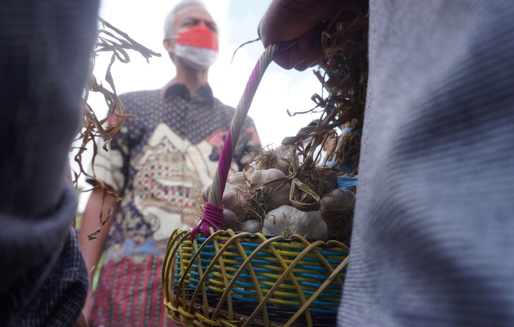  Gubernur Jawa Tengah Ganjar Pranowo menyerahkan bibit bawang putih varietas lokal kepada para petani bawang putih di Desa Tuwel, Kecamatan Bojong, Kabupaten Tegal, Jawa Tengah, Jumat (12/8/2022). 