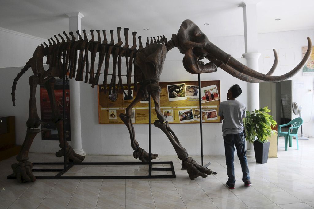 Pengunjung mengamati replika fosil gajah purba (<i>Stegodon trigonochephalus</i>) koleksi Museum Situs Purba Pati Ayam di Desa Terban, Jekulo, Kudus, Jawa Tengah, Senin (5/3/2018). 