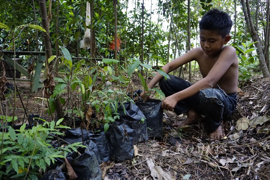 A child from the banks of Karang Mumus River in Samarinda city, East Kalimantan, plant trees near the river in order to maintain water quality and prevent landslides on Friday  (6/9/2019).