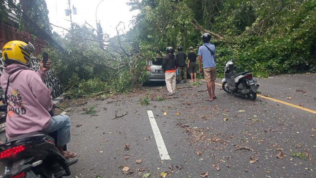 Pohon tumbang menimpa sebuah mobil di Jalan Dr Wahidin, Kelurahan Candisari, Kecamatan Candisari, Kota Semarang, Jawa Tengah, Selasa (12/3/2024). 