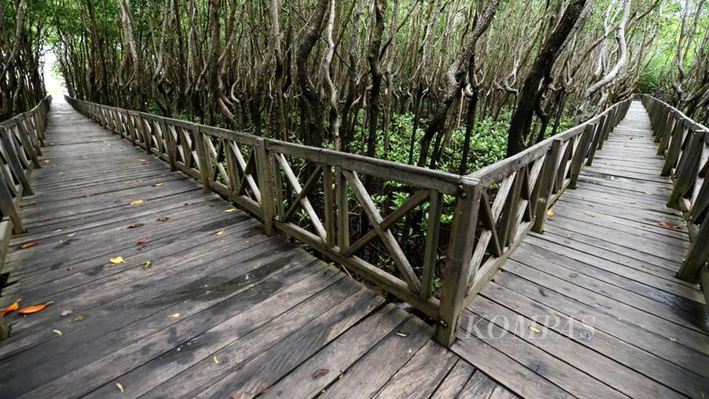 Jembatan kayu membelah hutan mangrove Tongke-tongke di Kabupaten Sinjai, Sulsel, Rabu (6/2/2019).