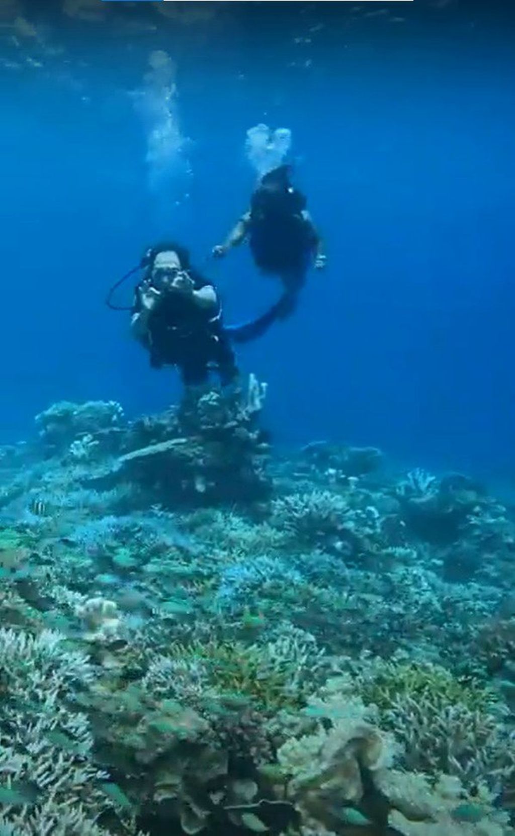 Pemimpin Redaksi Harian <i>Kompas</i> Sutta Dharmasaputra didampingi <i>dive master </i>Kris tengah menyelam di perairan Pulau Gili Lawa Laut, Manggarai Barat, Nusa Tenggara Timur, Rabu (15/6/2022).