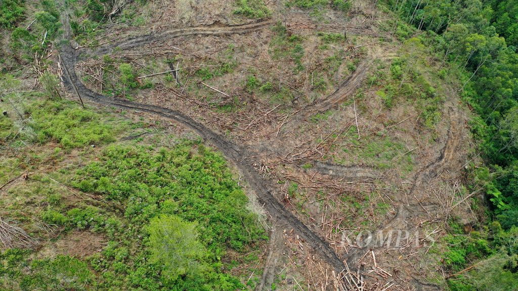 Foto udara kerusakan hutan di bagian hulu di Desa Simangulampe, Kecamatan Baktiraja, Kabupaten Humbang Hasundutan, Sumatera Utara, Rabu (6/12/2023). 