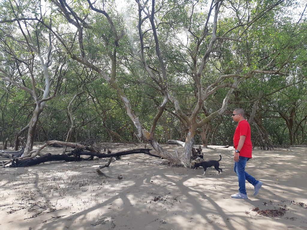Mangrove menyempurnakan pesona Pantai Kelapa Tinggi, Desa Mata Air, Kecamatan Kupang Tengah, Kabupaten Kupang, Nusa Tenggara Timur, Jumat (28/10/2022). Pesisir itu menjadi destinasi wisata pantai dengan salah satu ikon adalah konservasi penyu.