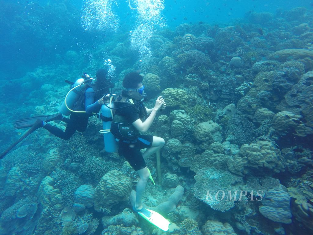 Seorang wisatawan mengambil foto bawah laut ditemani seorang pemandu di titik selam Lekuan, Bunaken, Manado, Sulawesi Utara, Senin (14/2/2022).