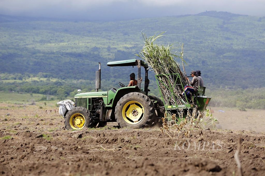 Petani menggunakan traktor untuk mengangkut hasil panen tebu di lahan tebu yang baru dikembangkan di kaki Gunung Tambora, Dorocanga, Sumbawa, Nusa Tengara Barat, beberapa waktu lalu.