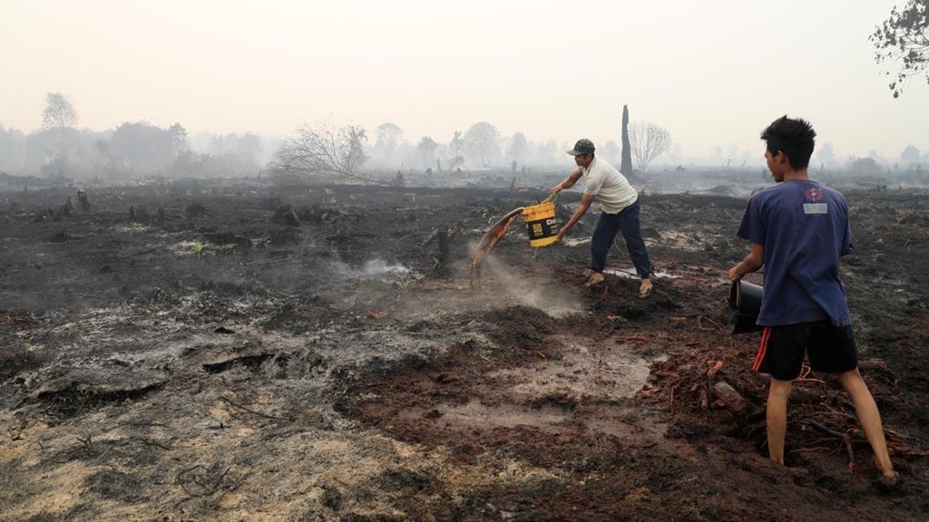Warga secara manual membasahi lahan gambut yang masih mengeluarkan asap di Desa Merbau, Kecamatan Bunut, Kabupaten Pelalawan, Provinsi Riau, Selasa (17/9/2019). Proses pemadaman dan pembasahan di lahan gambut membutuhkan waktu yang lama untuk memastikan api benar-benar padam.