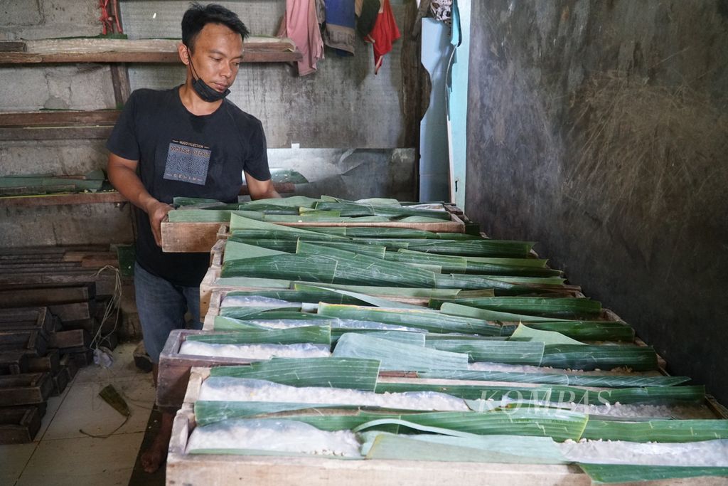 Pekerja meletakkan tempe yang usai dicetak di pabrik tempe Darek Ani Cap Gunung Tiga, Kelurahan Alai Parak Kopi, Kecamatan Padang Utara, Kota Padang, Sumatera Barat, Minggu (20/2/2022). 